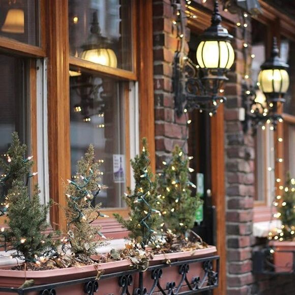 Northlight 35-Count Clear Mini Christmas Lights Set, 7ft Brown Wire - Picture 2 of 2